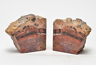 Petrified Wood Polished Bookends, Pair