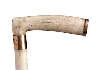 Antique whalebone walking stick cane - England early 20th Century