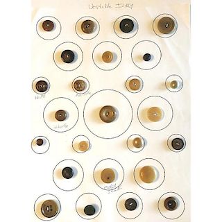 7 WHOLE CARDS OF VEGETABLE IVORY BUTTONS