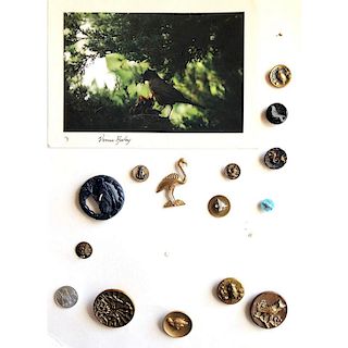 2 CARDS OF ANIMAL BUTTONS INCLUDING BIRDS