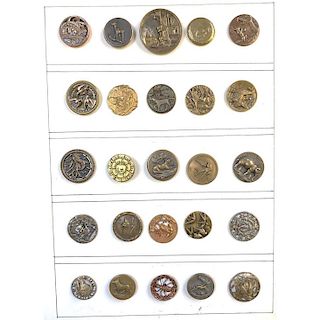 M/L BRASS BUTTONS SPECIALIZED TO ASSORTED ANIMAL LIFE