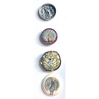 5 PICTORIAL PEACOCK BUTTONS IN ASST'S MATERIALS