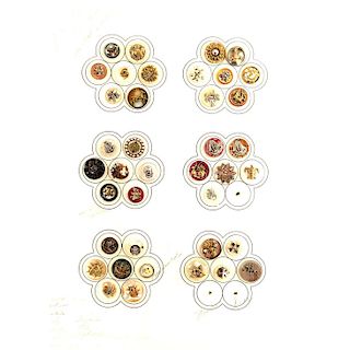 CARD OF SMALL ASSORTED PEARL BUTTONS WITH METAL OME