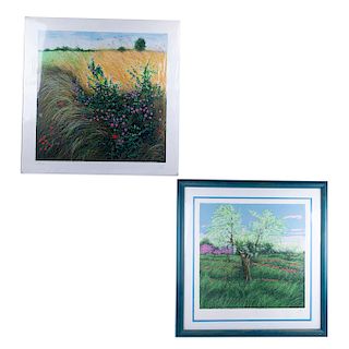 Franco Azzinari (Italia, 1949 - ) Serígrafias sobre papel. Vista de amapolas en campo; Paisaje con árbol. Seriadas. Piezas: 2