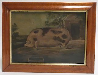 19th c. British School, Portrait of a Pig, O/C
