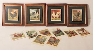 11 Cassell's Poultry Chromolithographs 1870's