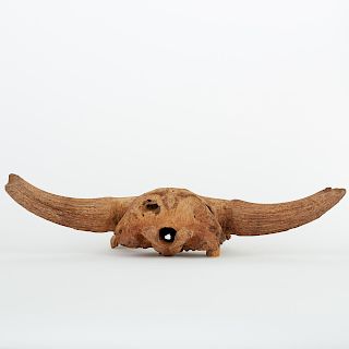 Pleistocene Steppe Bison Skull Deaccessioned Alaska Museum