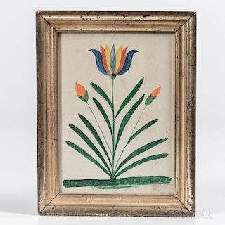 Pennsylvania, Mid-19th Century  Tall Tulip with Green Leaves