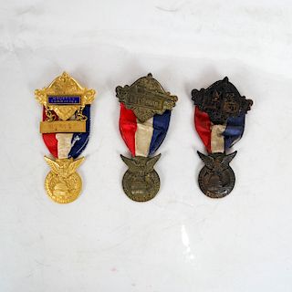 1928 Democratic National Convention Badges