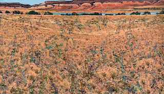 Jim Woodson, Simultaneous Undifferentiated Transaction #1 (Ghost Ranch)