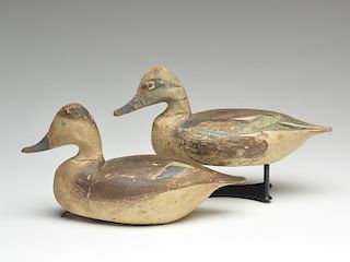 Very rare pair of widgeon, carved by Miles Hancock, in original paint by Delbert Hudson, Chincoteague, Virginia.