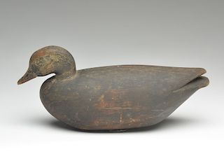 Solid body black duck, Arthur Cobb, Cobb Island, Virginia.