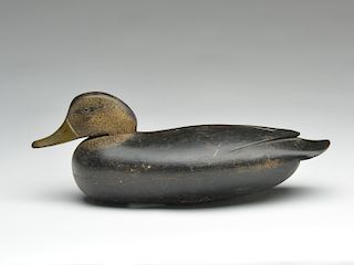 Early black duck, Thomas Fitzpatrick, Delanco, New Jersey, 1st quarter 20th century.