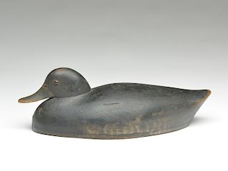 Hollow carved lowhead black duck, George Warin, Toronto, Ontario.