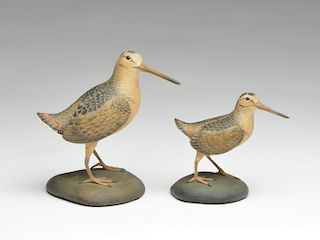 Two woodcocks, Frank Finney, Cape Charles, Virginia.