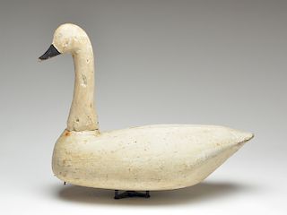 Rare swan decoy, Doug Jester, Chincoteague, Virginia, 1st half 20th century.
