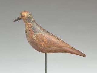 Plover from Seaford, Long Island, New York, last quarter 19th century.