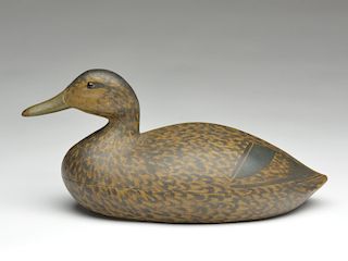 Hollow carved black duck, William Bowman, Lawrence, Long Island, New York.