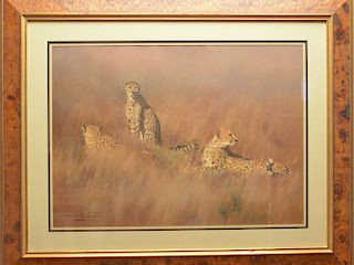"Cheetahs in the Grass," charcoal on paper Dino Paravano (b. 1935).