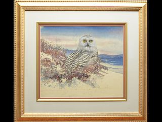 "Snow Owl," oil on paper board, Beth Erlund.