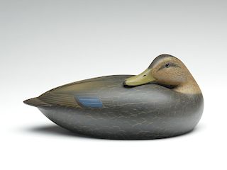 Hollow carved sleeping black duck, Keith Mueller, Killingsworth, Connecticut.