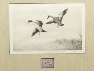 1938 Federal duck stamp print, Roland Clark.