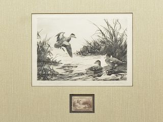 1942 Federal duck stamp print, artist Aiden Lassell Ripley.