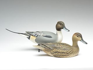 Pair of pintails, Oliver Lawson, Crisfield, Maryland.