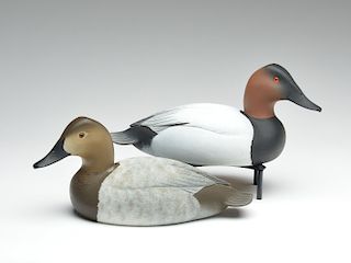 Pair of canvasbacks, Oliver Crisfield, Maryland.
