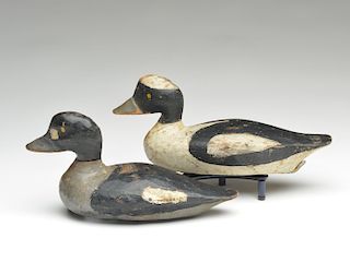 Pair of buffleheads, unknown maker, possibly Talbot County, Maryland.