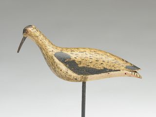Plover from the Eastern Shore of Virginia, last quarter 19th century.