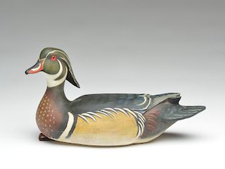 Wood duck drake with lifted head, Ron Moreland.