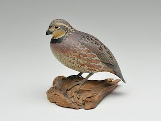 Life size carving of a quail, Oliver Lawson, Crisfield, Maryland.