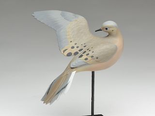 Full size preening dove, Eddie Wozny, Cambridge, Maryland.
