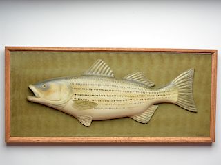 Carved striped bass on wooden plaque, George Strunk, Glendora, New Jersey.