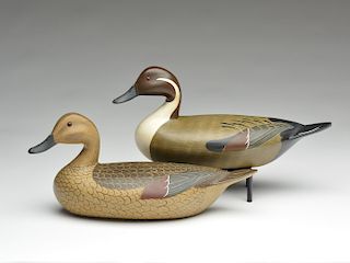 Pair of pintails, Cline McAlpin, Chicago, Illinois.