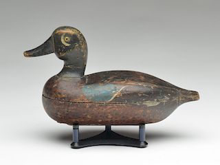 Bluewing teal drake, Wendell Smith, Chicago, Illinois, 1st quarter 20th century.