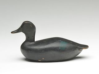 Greenwing teal hen similar to the carving of William Finch.