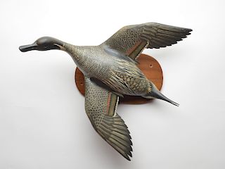 Full size flying pintail drake, Oliver Lawson, Crisfield, Marland.