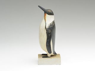 Emperor penguin, Charles Hart, Gloucester, Massachusetts.