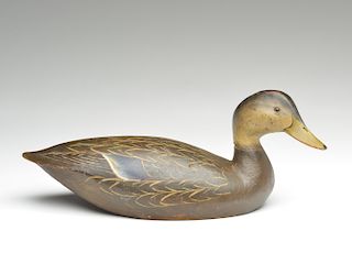 Exceptional 1930 model black duck, Ward Brothers, Crisfield, Maryland.