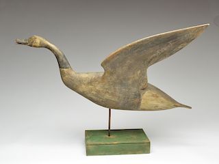 Exceptional and dramatic double winged Canada goose weathervane, Cameron McIntyre, New Church, Virginia.