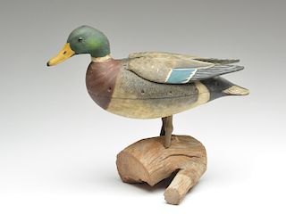 Hollow carved standing mallard drake with wings that flap when wire is pulled, Reggie Birch, Chincoteague, Virginia.