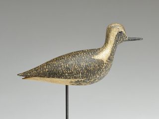 Black bellied plover, George Boyd, Seabrook, New Hampshire, 1st quarter 20th century.