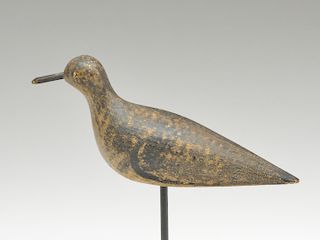 Golden plover from New Jersey, last quarter 19th century.
