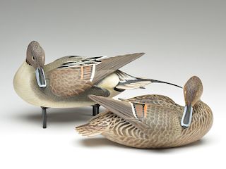Pair of decorative pintails, Ward Brothers, Crisfield, Maryland.