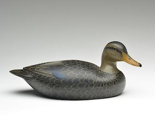 Exceptional hollow carved black duck, Lloyd Johnson, Bay Head, New Jersey.