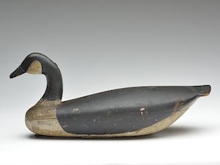 Canada goose, John Cornelius, Bayhead, New Jersey, last quarter 19th century.