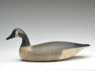 Canada goose, Nathan Rowley Horner, West Creek, New Jersey, 1st quarter 20th century.