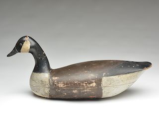Canada goose, Harry V. Shourds, Tuckerton, New Jersey.